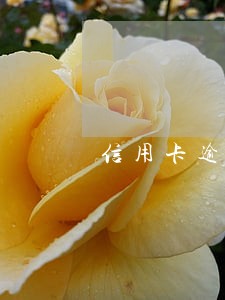 信用卡逾期 欠款人失踪了 信用卡逾期 欠款人失踪了